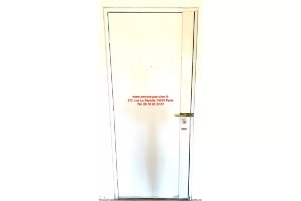 cylindre fichet 787 pour serrure fichet fortissime t